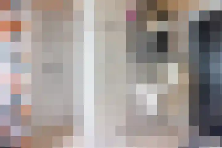 Prinsenkamp 29 Vroomshoop thumbnail 31