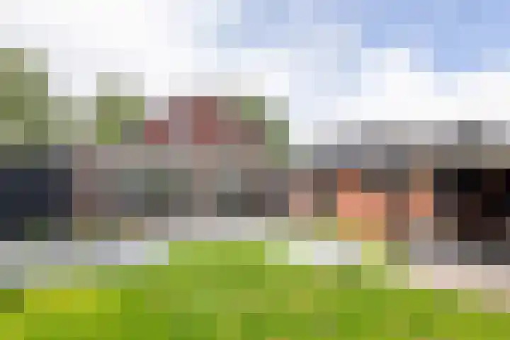 Prinsenkamp 29 Vroomshoop thumbnail 33