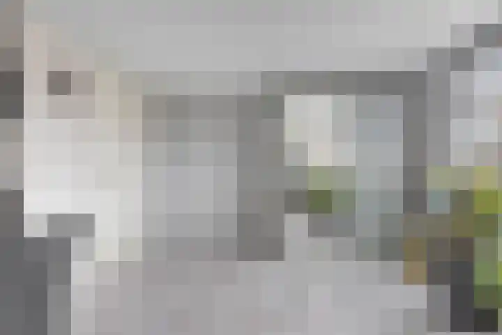 Prinsenkamp 29 Vroomshoop thumbnail 33