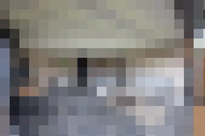 Prinsenkamp 29 Vroomshoop thumbnail 35