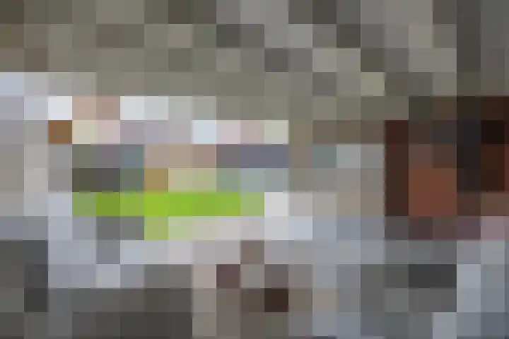 Prinsenkamp 29 Vroomshoop thumbnail 35