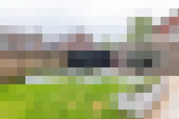 Prinsenkamp 29 Vroomshoop thumbnail 37