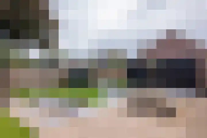Prinsenkamp 29 Vroomshoop thumbnail 37