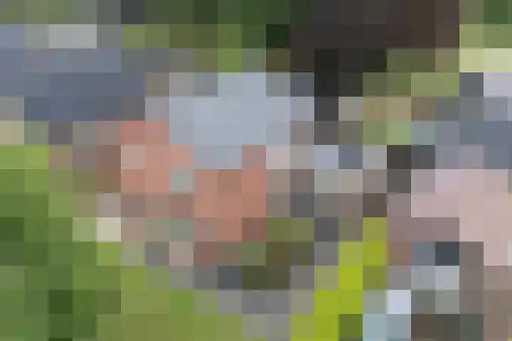 Prinsenkamp 29 Vroomshoop thumbnail 39