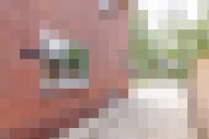 Prinsenkamp 29 Vroomshoop thumbnail 42