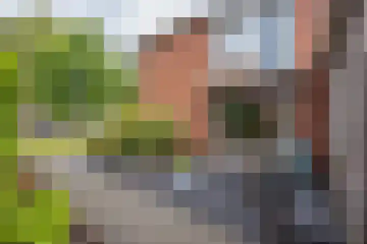 Prinsenkamp 29 Vroomshoop thumbnail 43