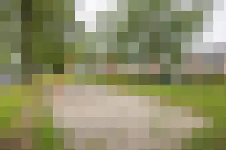 Prinsenkamp 29 Vroomshoop thumbnail 43