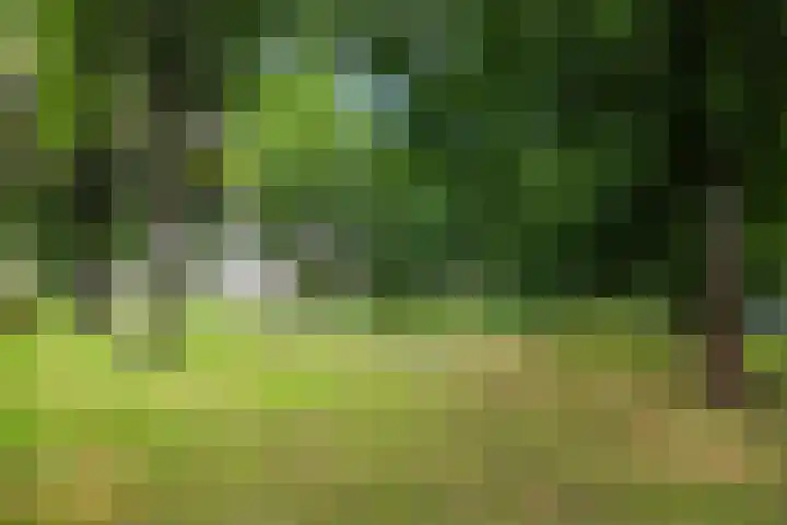 Prinsenkamp 29 Vroomshoop thumbnail 45
