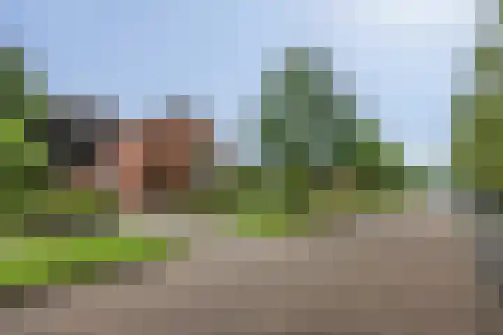 Prinsenkamp 29 Vroomshoop thumbnail 47