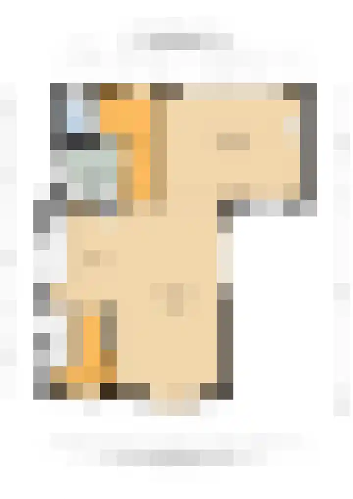 Prinsenkamp 29 Vroomshoop thumbnail 48