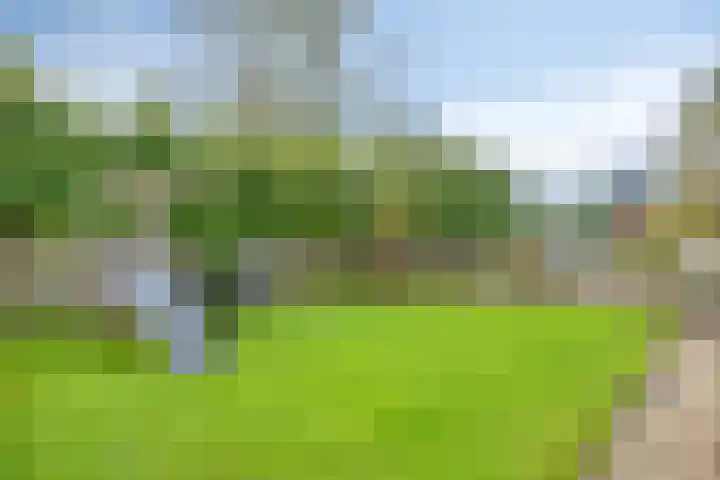 Prinsenkamp 29 Vroomshoop thumbnail 54