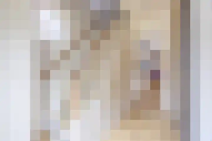 Prinsenkamp 29 Vroomshoop thumbnail 7