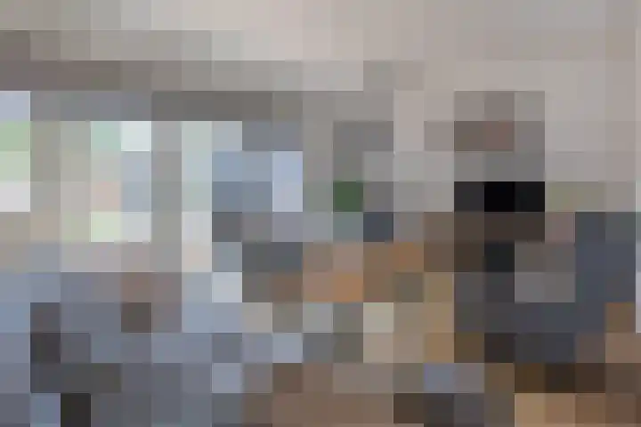 Prinsenkamp 29 Vroomshoop thumbnail 8