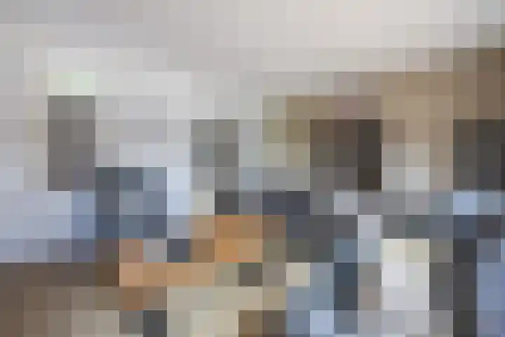 Prinsenkamp 29 Vroomshoop thumbnail 9