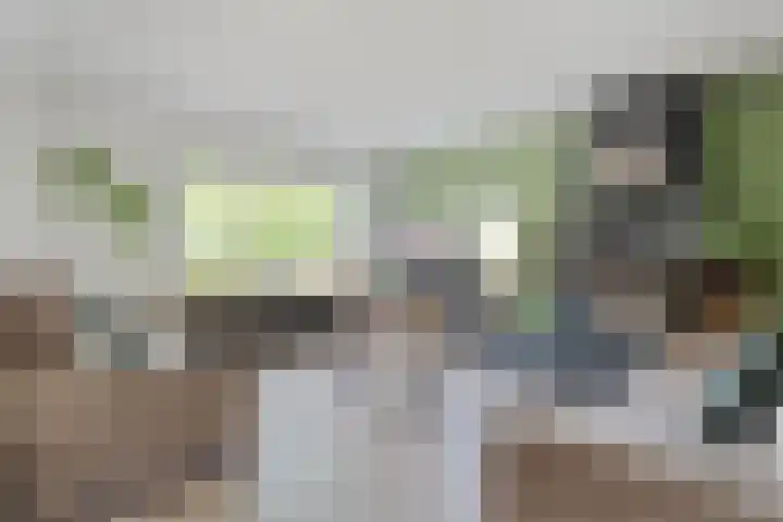 Prinsenkamp 61 Vroomshoop thumbnail 11
