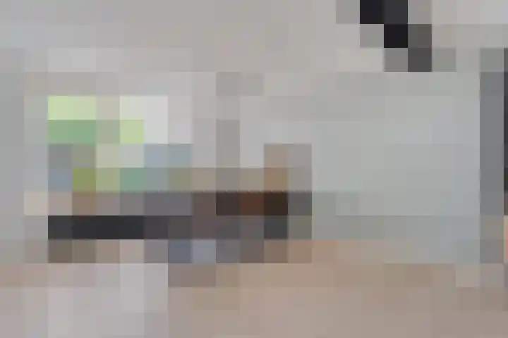 Prinsenkamp 61 Vroomshoop thumbnail 14