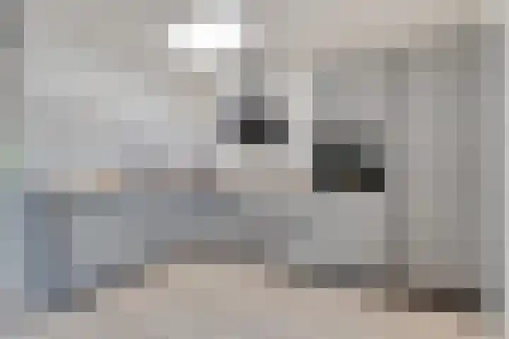 Prinsenkamp 61 Vroomshoop thumbnail 17