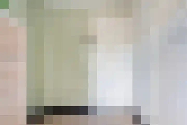 Prinsenkamp 61 Vroomshoop thumbnail 30