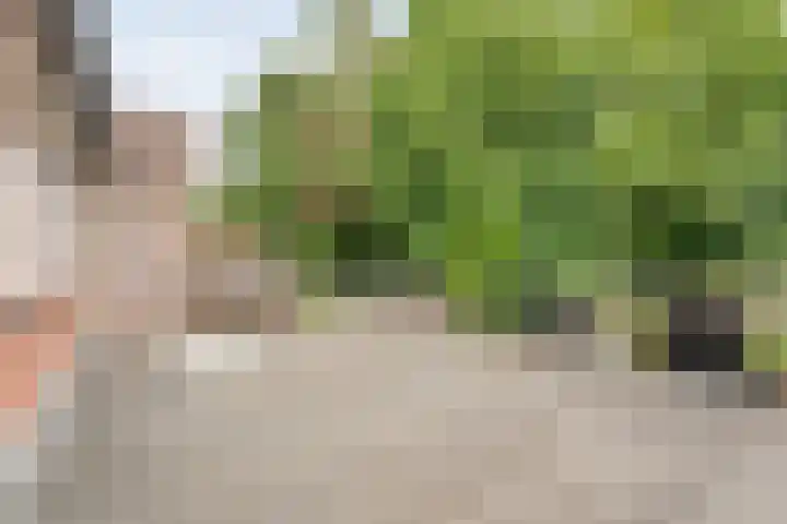 Prinsenkamp 61 Vroomshoop thumbnail 33