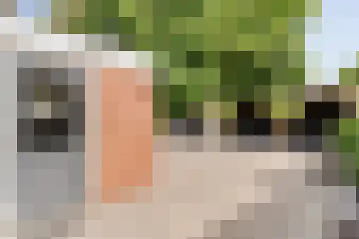 Prinsenkamp 61 Vroomshoop thumbnail 36