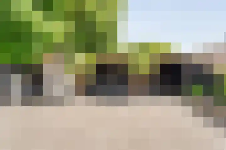 Prinsenkamp 61 Vroomshoop thumbnail 37