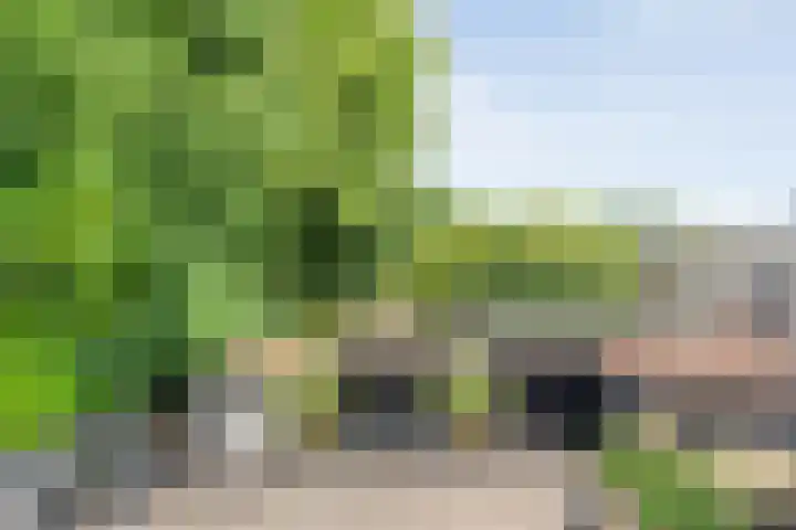 Prinsenkamp 61 Vroomshoop thumbnail 38
