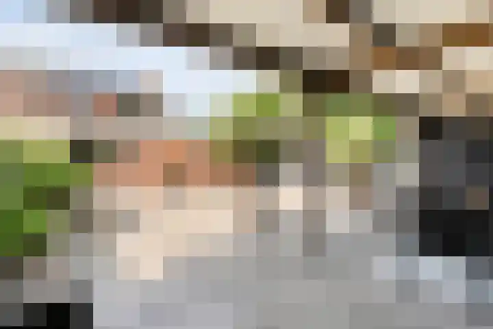 Prinsenkamp 61 Vroomshoop thumbnail 39