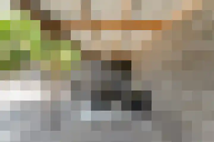 Prinsenkamp 61 Vroomshoop thumbnail 40
