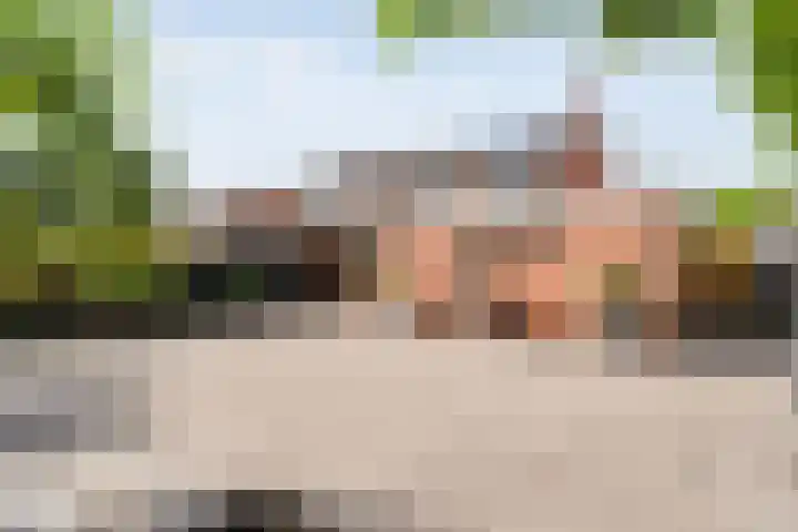 Prinsenkamp 61 Vroomshoop thumbnail 42