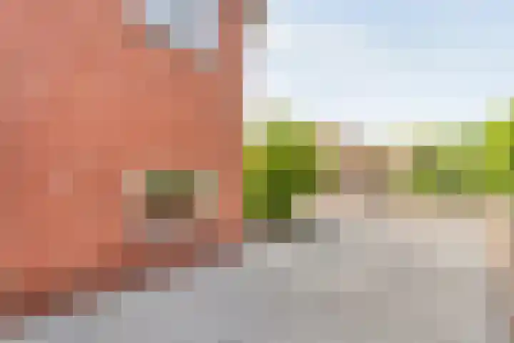 Prinsenkamp 61 Vroomshoop thumbnail 45