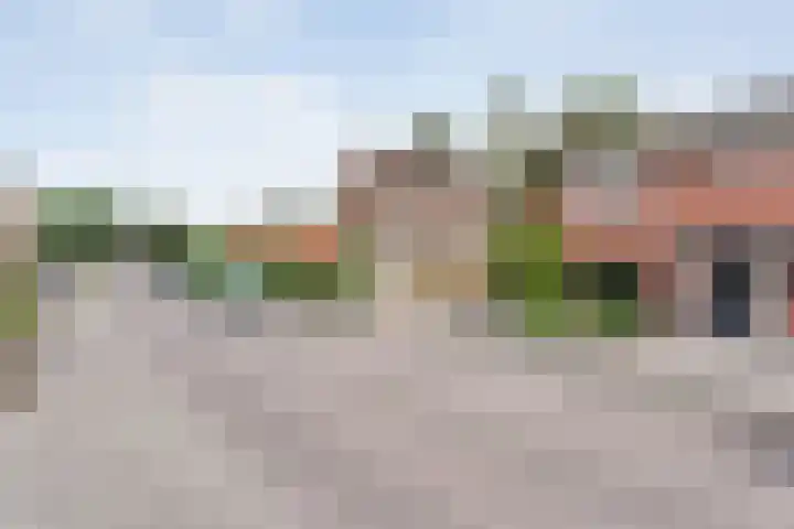 Prinsenkamp 61 Vroomshoop thumbnail 46