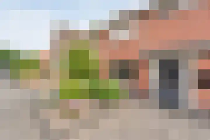 Prinsenkamp 61 Vroomshoop thumbnail 5