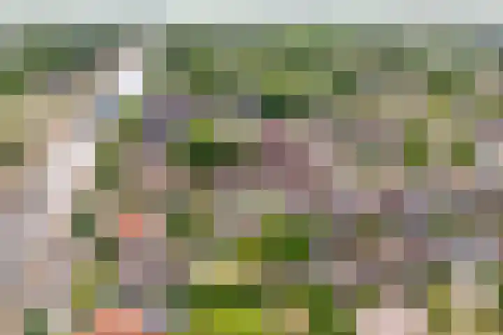 Prinsenkamp 61 Vroomshoop thumbnail 6