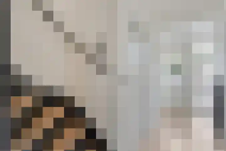 Prinsenkamp 61 Vroomshoop thumbnail 7