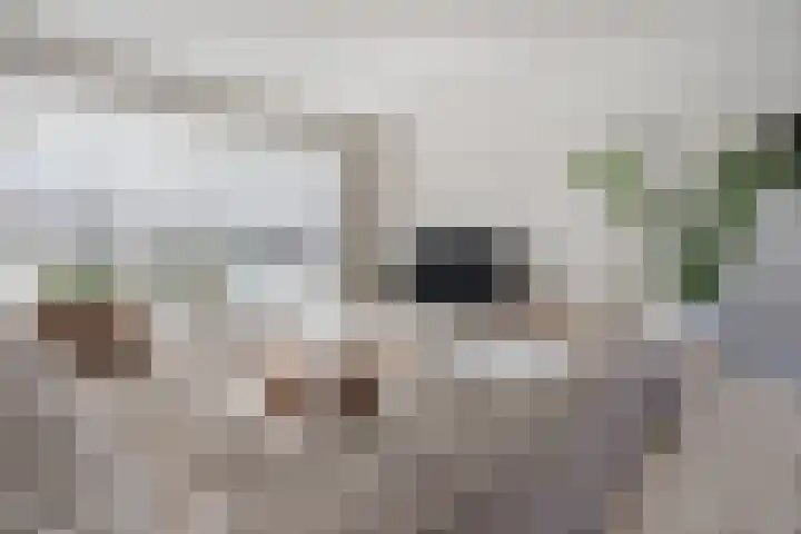 Prinsenkamp 75 Vroomshoop thumbnail 10