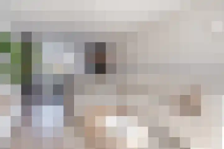 Prinsenkamp 75 Vroomshoop thumbnail 11