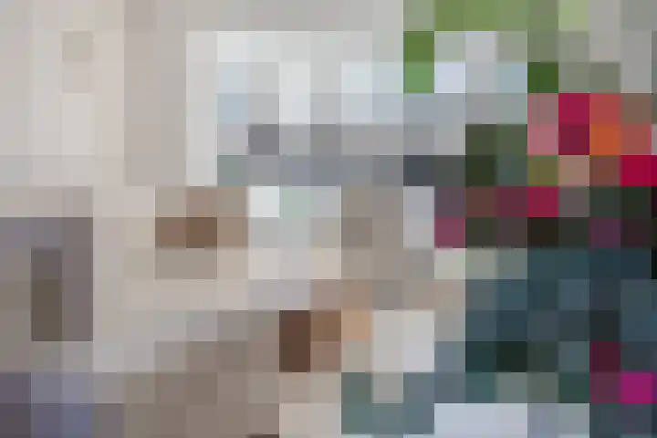 Prinsenkamp 75 Vroomshoop thumbnail 13