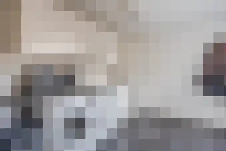 Prinsenkamp 75 Vroomshoop thumbnail 17