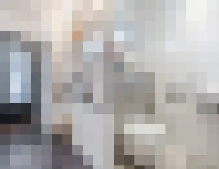 Prinsenkamp 75 Vroomshoop thumbnail 20