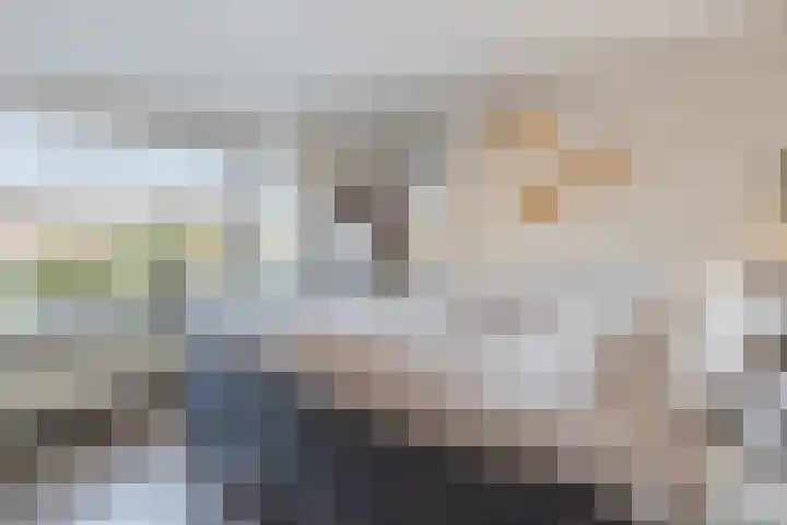 Prinsenkamp 75 Vroomshoop thumbnail 21