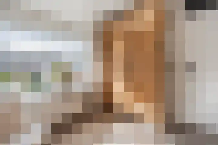 Prinsenkamp 75 Vroomshoop thumbnail 28