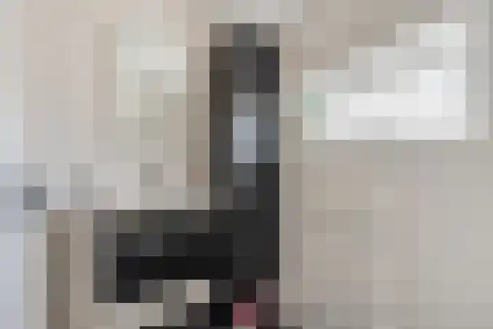 Prinsenkamp 75 Vroomshoop thumbnail 29