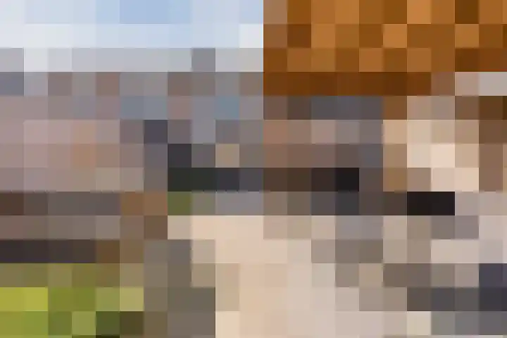 Prinsenkamp 75 Vroomshoop thumbnail 34