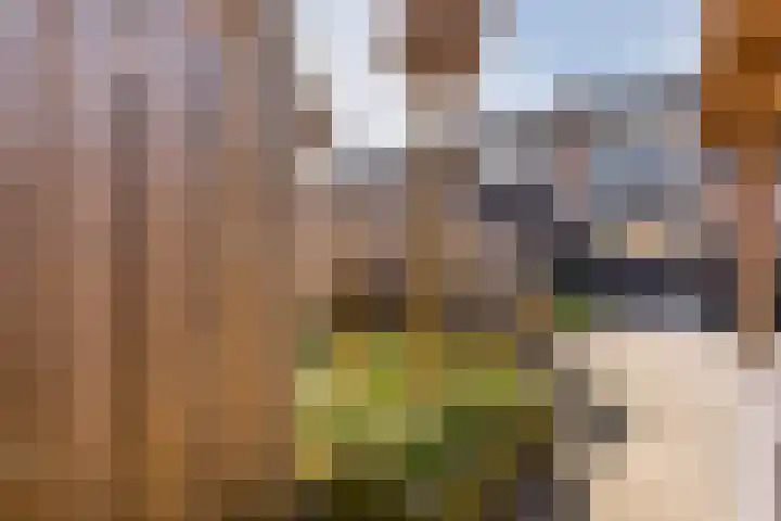 Prinsenkamp 75 Vroomshoop thumbnail 35