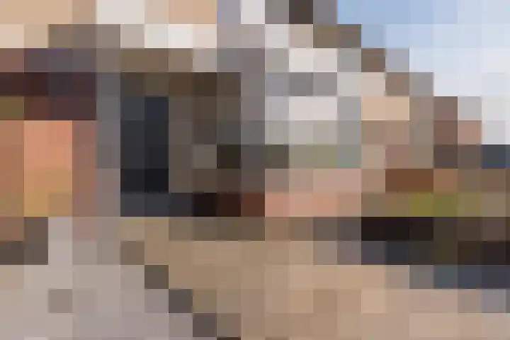 Prinsenkamp 75 Vroomshoop thumbnail 38