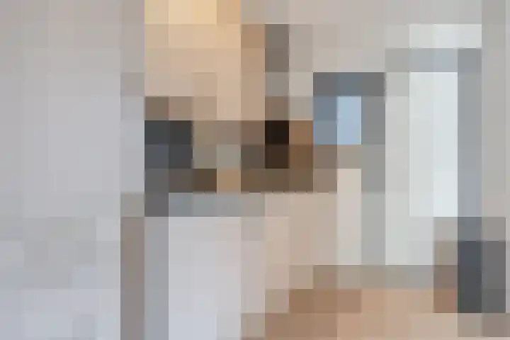 Prinsenkamp 75 Vroomshoop thumbnail 4