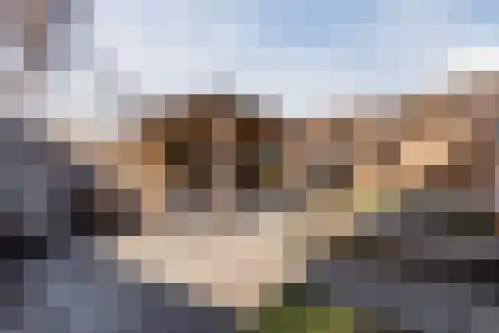 Prinsenkamp 75 Vroomshoop thumbnail 5