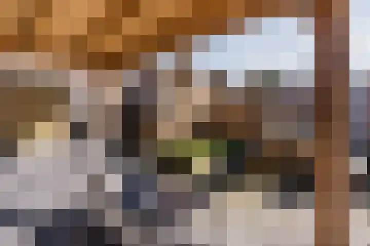 Prinsenkamp 75 Vroomshoop thumbnail 6