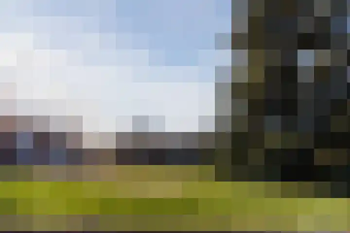 Prinsenkamp 75 Vroomshoop thumbnail 7