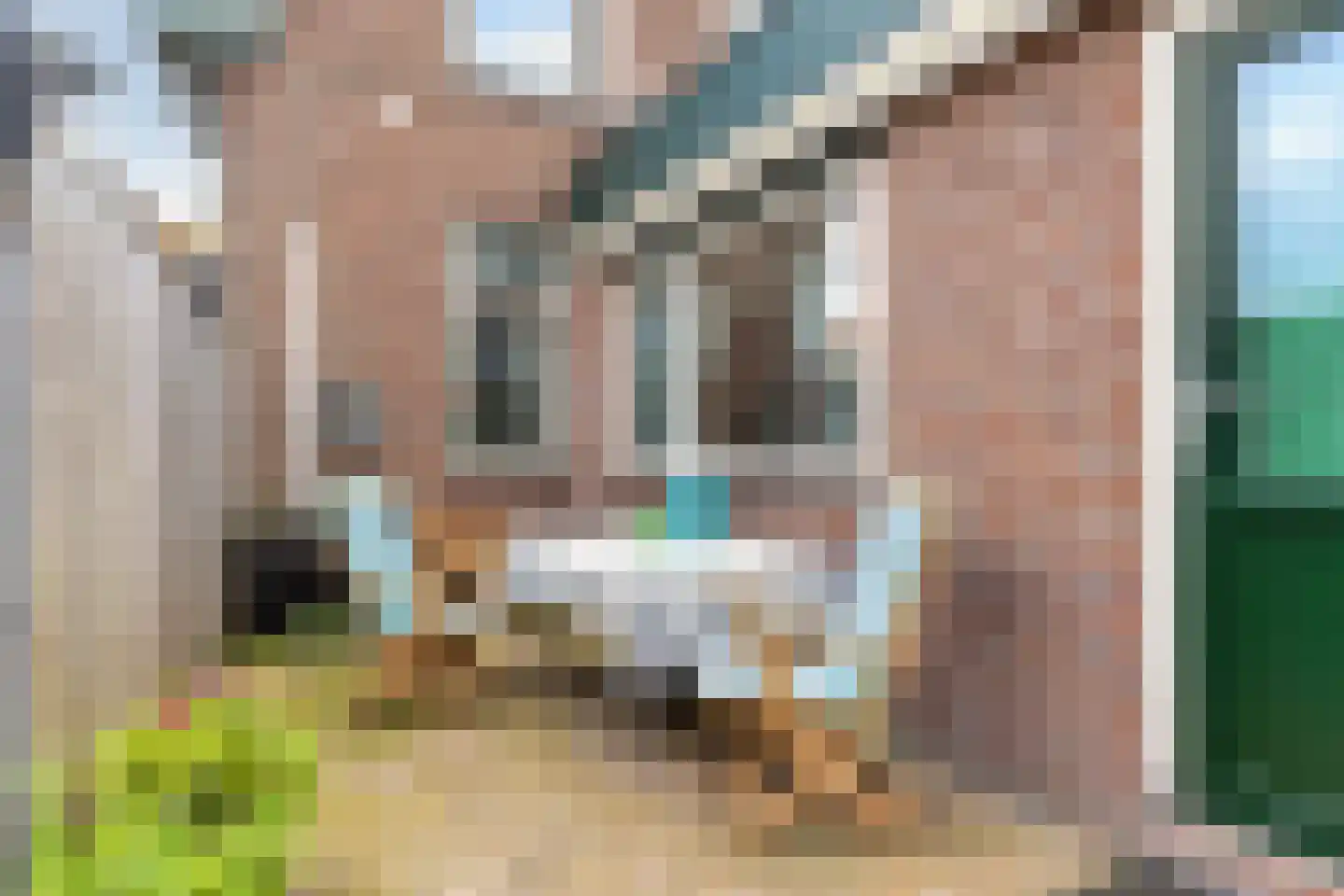 Prinsenkampsweg 1 Almelo thumbnail 21